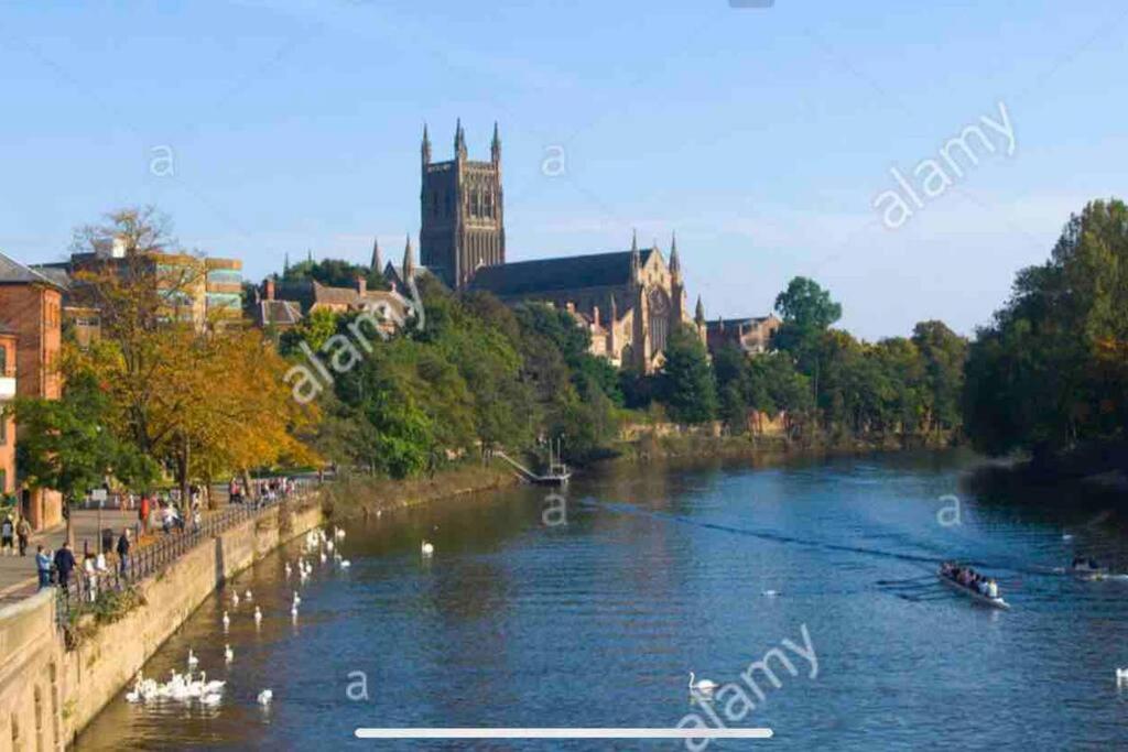 Unrivalled Location - Five Star - Worcester Apartment Exteriör bild